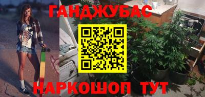 гашик Аргун