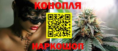 гашик Аргун